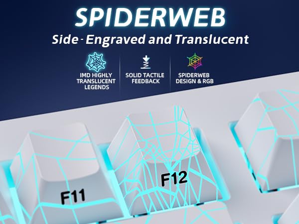 #color_White Spiderweb
