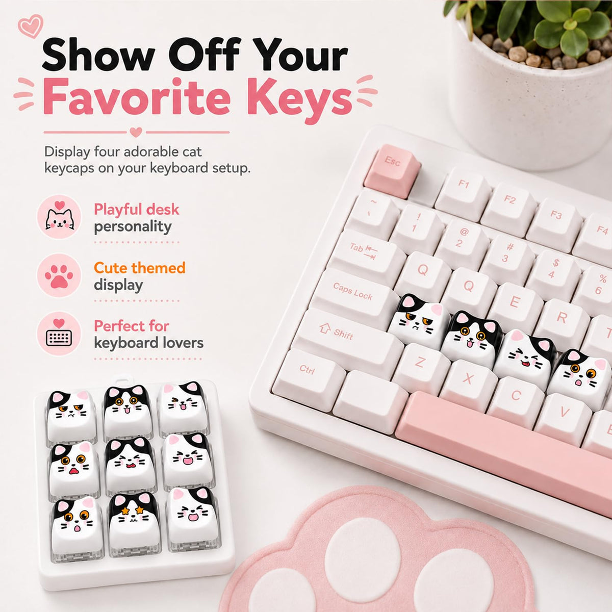 #Style_Milk Cat